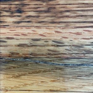 Meet your Posher, Max